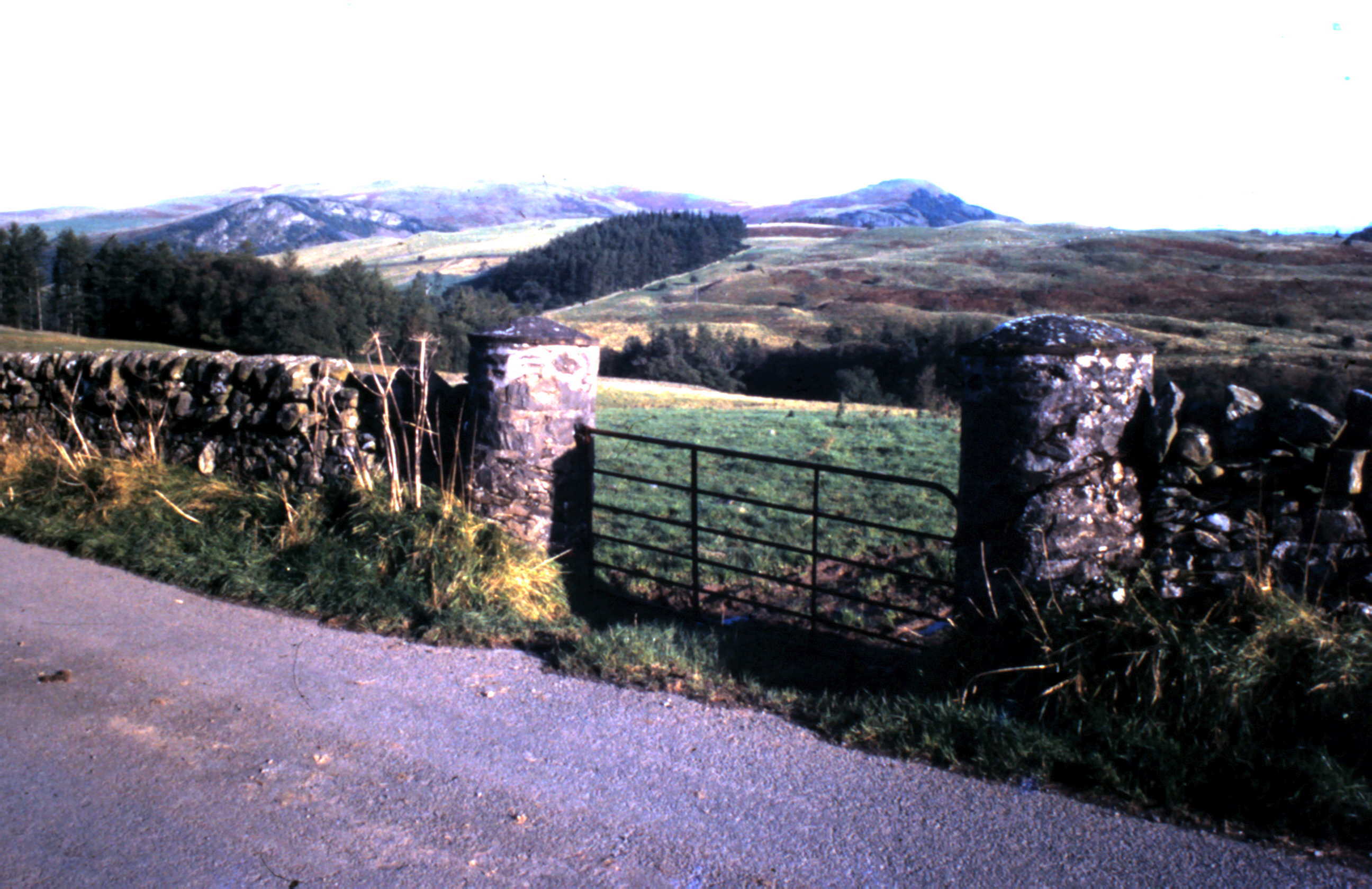 Lann Hall gateposts with Tynron Doon in the background